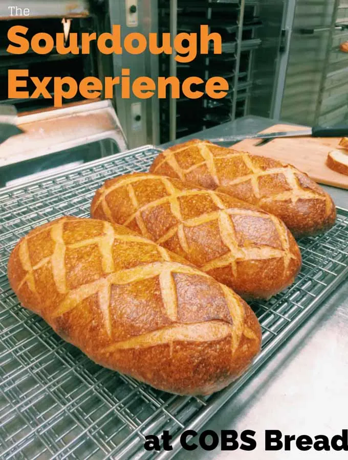 The Sourdough Experience copy
