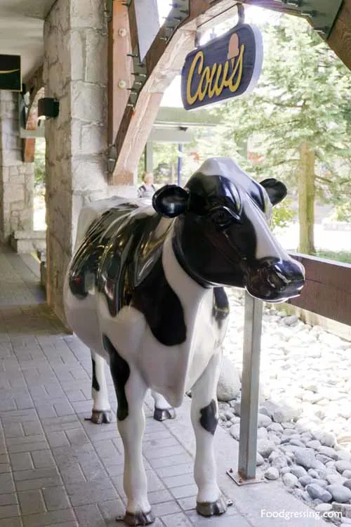 Cows-Whistler-British-Columbia