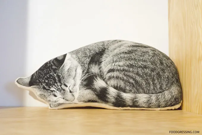 Can you tell that this is a cat pillow?