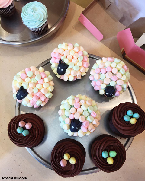 Original-Cupcake-Heather-Lori-Easter-Chick