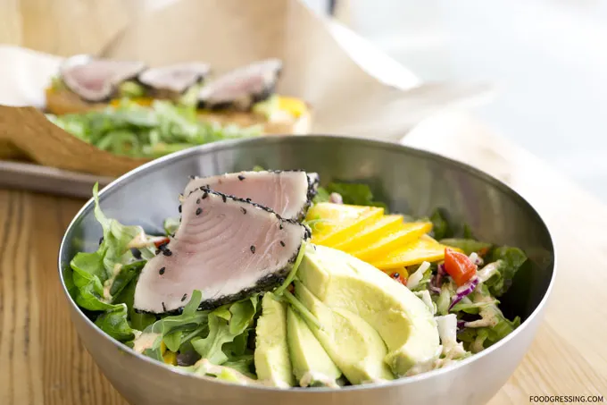 Oceanwise Albacore