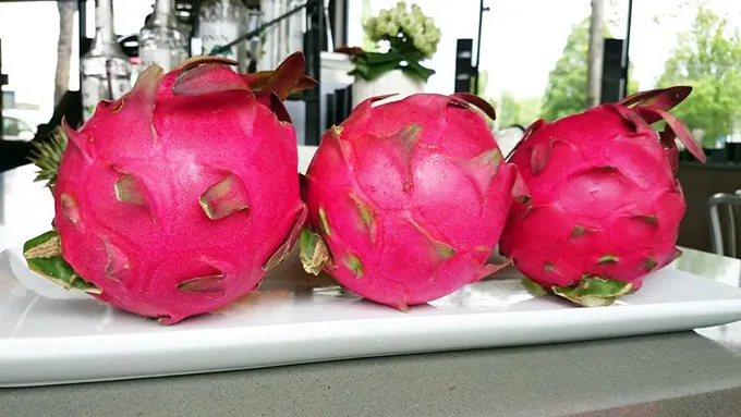 taione trading kaohsiung event