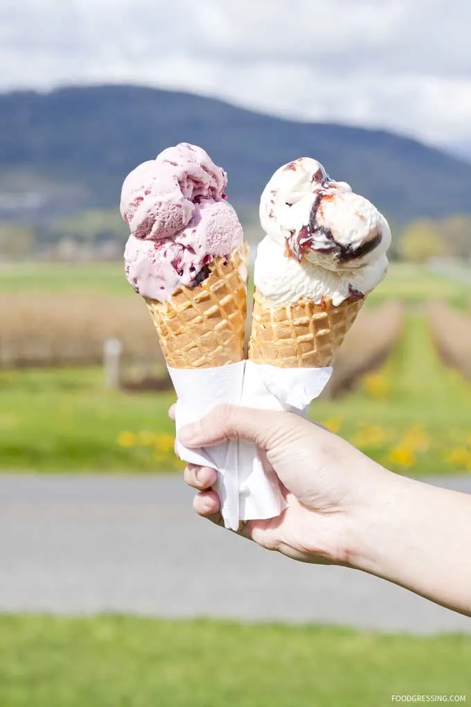 Birchwood Dairy Farm cone