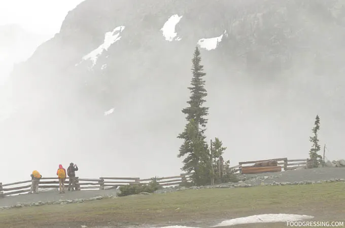 rendezvous whistler blackcomb