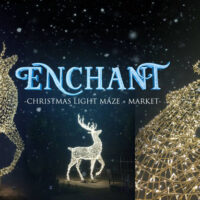 enchant christmas light maze