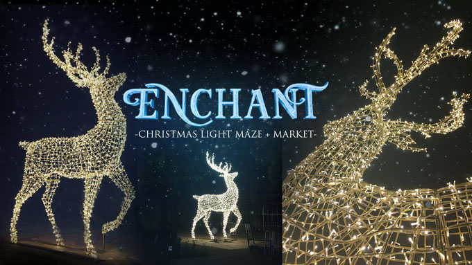 enchant christmas light maze