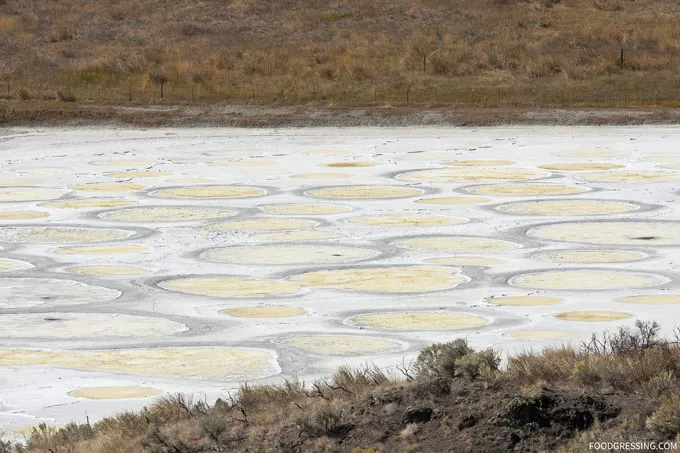 Spotted Lake Osoyoos