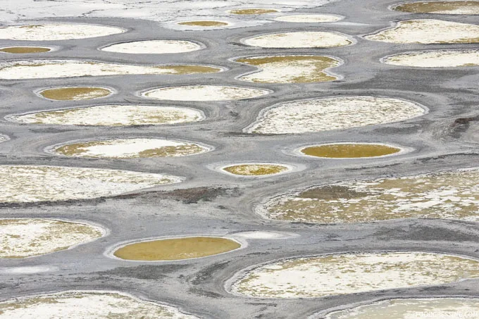 Spotted Lake Osoyoos