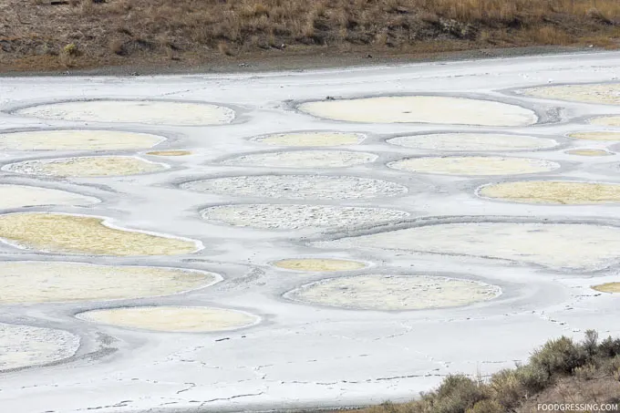 Spotted Lake Osoyoos