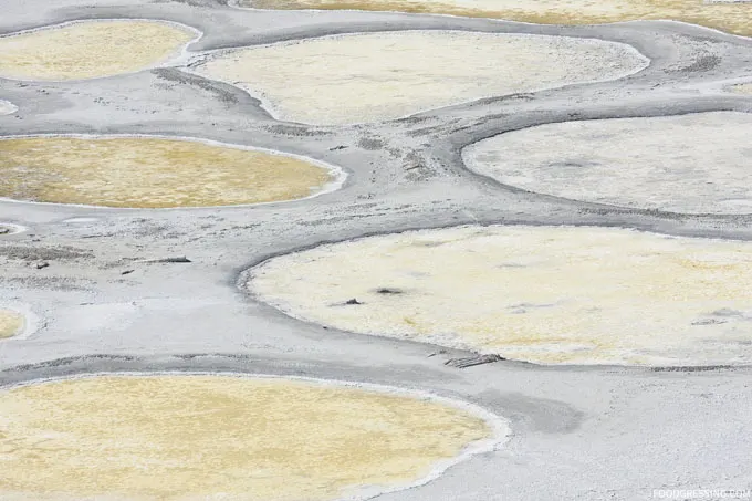 Spotted Lake Osoyoos