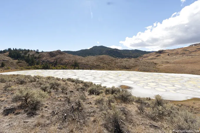 What To See In Osoyoos Osoyoos Spotted Lake Foodgressing