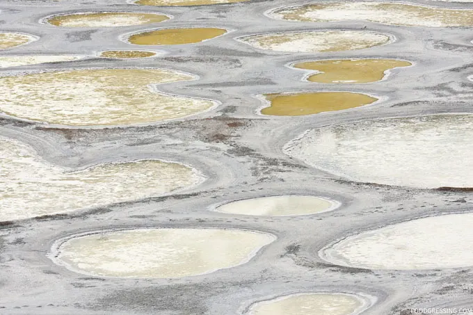 Spotted Lake Osoyoos