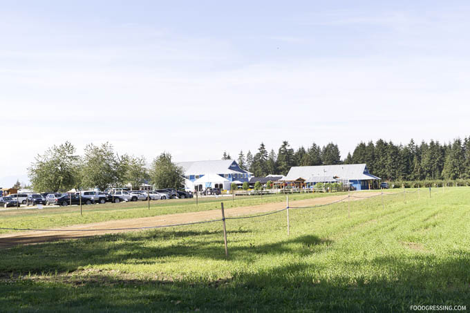 krause berry farms langley