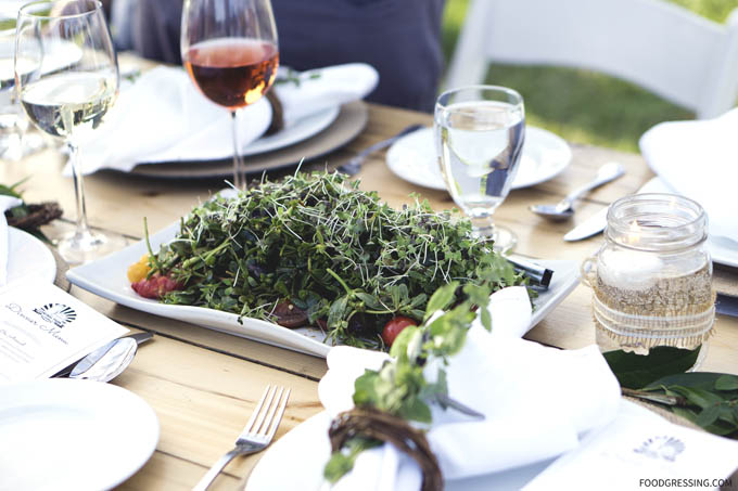 Farm-To-Plate Longtable Dinner at Central Park Farms