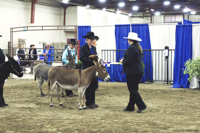 Westerner Days Red Deer Alberta