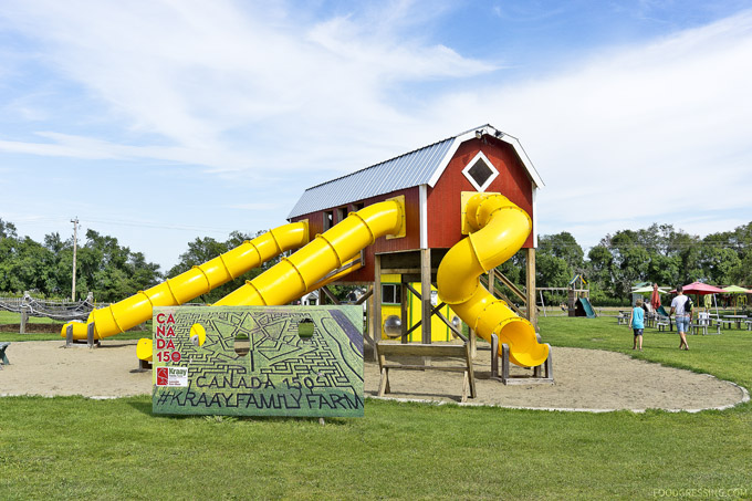 kraay family farm alberta