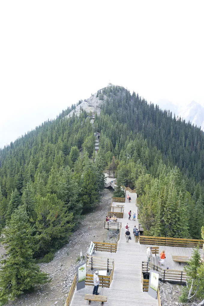 banff gondola sulphur mountain