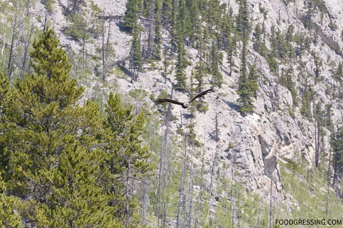 lake minnewanka alberta brewster travel banff