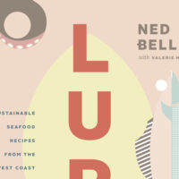Lure by Ned Bell intro