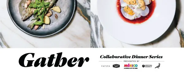 gather fayuca