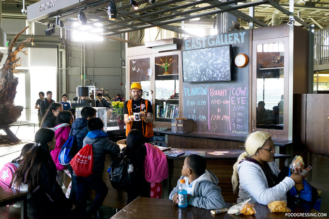 Things to Do in San Francisco: Exploratorium Pier 15 CityPASS