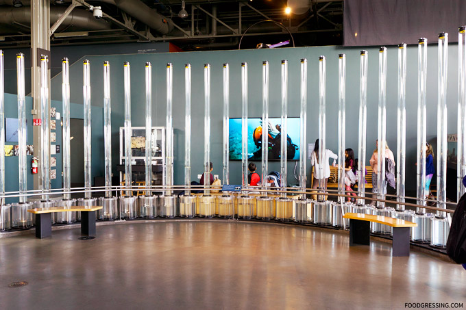 Things to Do in San Francisco: Exploratorium Pier 15 CityPASS