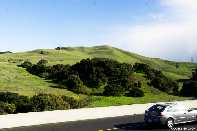 Grayline Napa Sonoma Wine Tasting Tour California