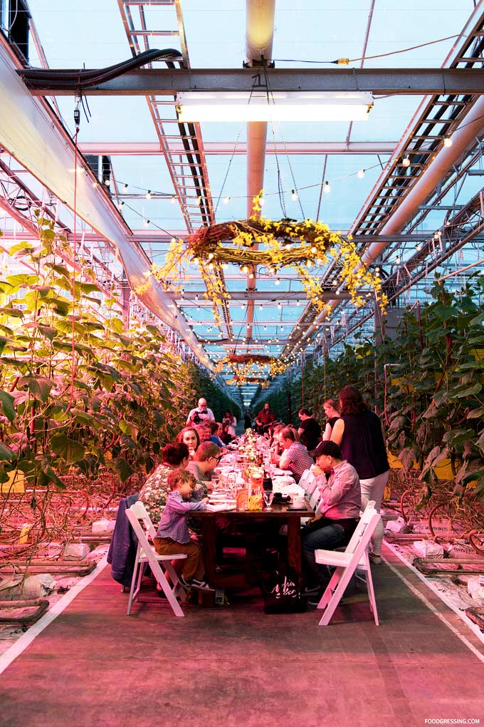 BC Greenhouse Veggie Days - BC Greenhouse Grown