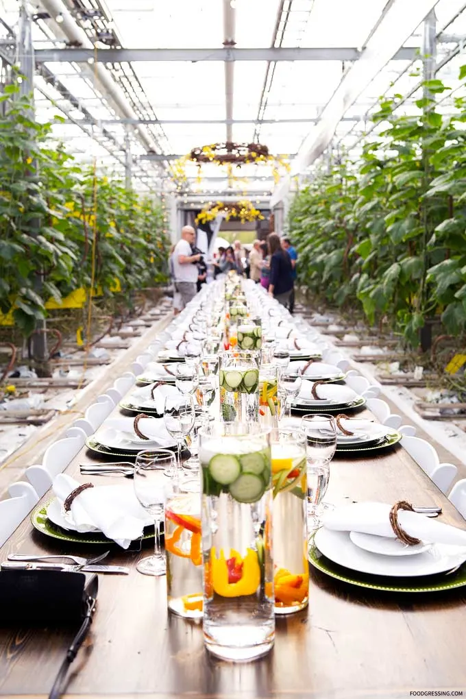 BC Greenhouse Veggie Days - BC Greenhouse Grown