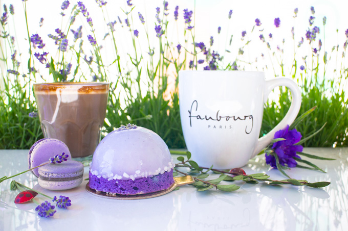 Lavender Earl Grey Macaron, Lavender and Strawbery pastry, Lavender Mixed Berry Smoothie, Lavender Latte, Lavender Tea Latte, Blueberry and Lavender Chausson