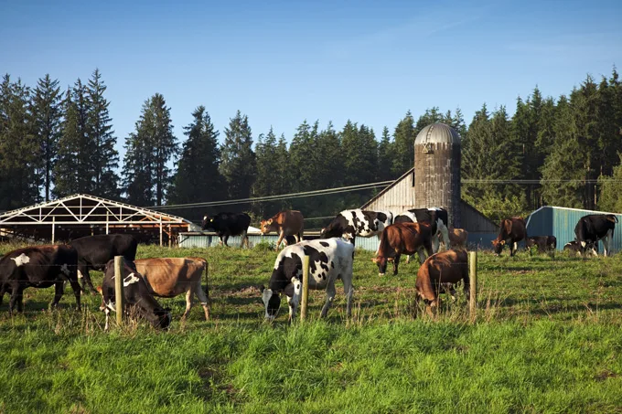 11 Up-And-Coming Foodie Destinations to Visit: Tillamook, USA