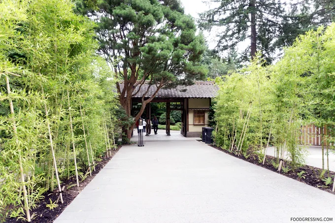 portland japanese garden oregon usa