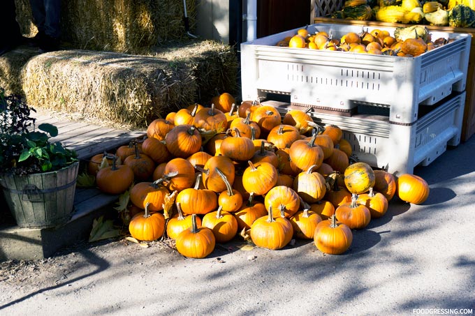 taves family farm abbotsford