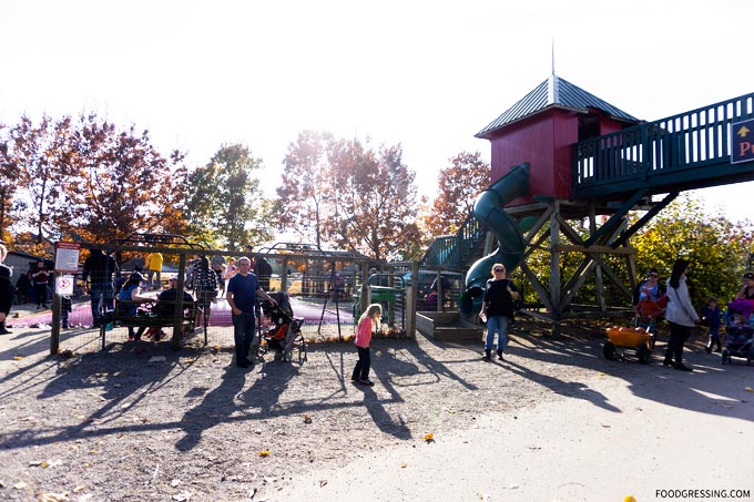 taves family farm abbotsford applebarn