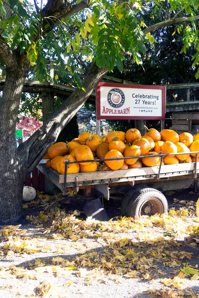 taves family farm abbotsford applebarn