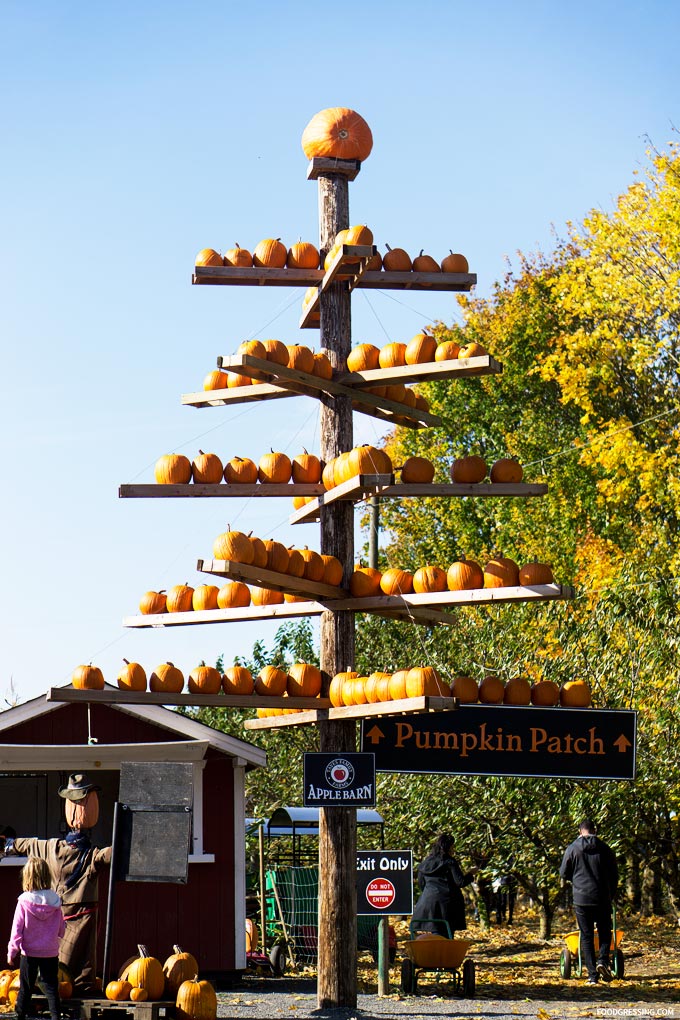 taves family farm abbotsford applebarn