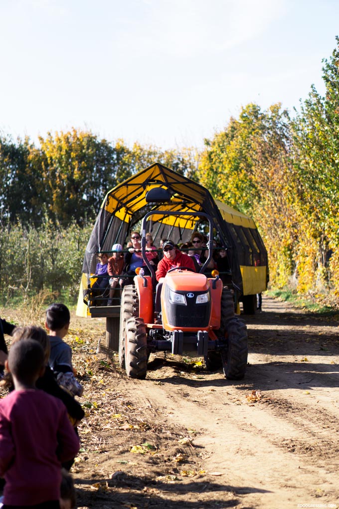 taves family farm abbotsford applebarn