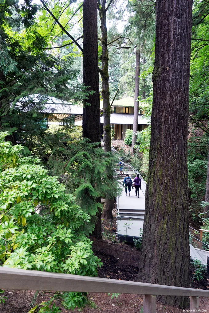 portland japanese garden oregon usa