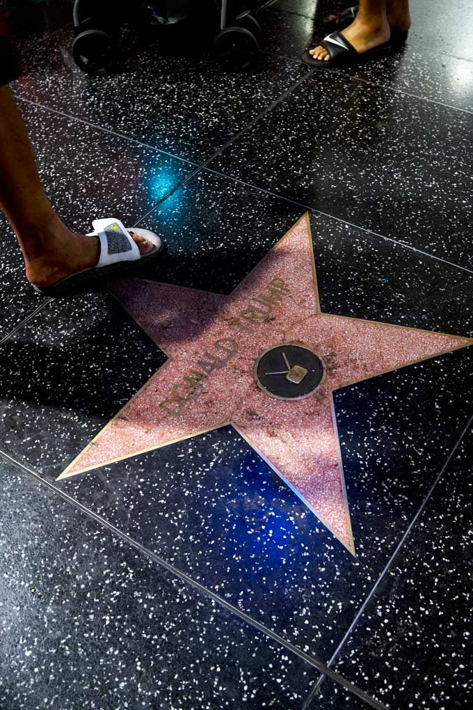 Donald Trump Hollywood Star