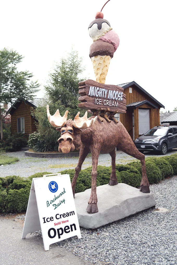 Mighty Moose Ice Cream Chilliwack British Columbia