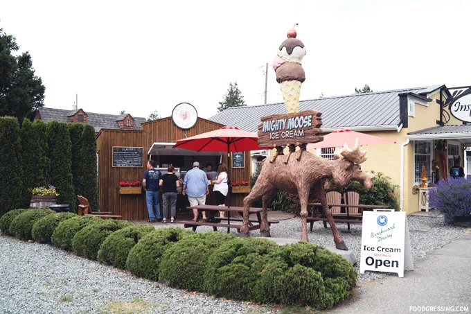 Mighty Moose Ice Cream Chilliwack BC | Chilliwack ice cream