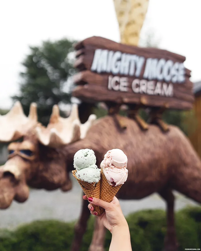 Mighty Moose Ice Cream Chilliwack BC | Chilliwack ice cream