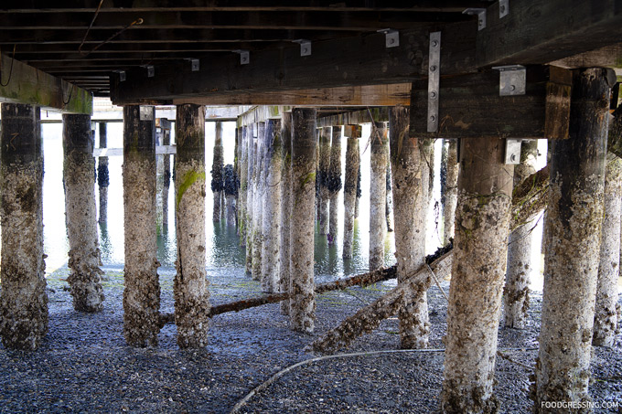 Semiahmoo Resort Washington USA