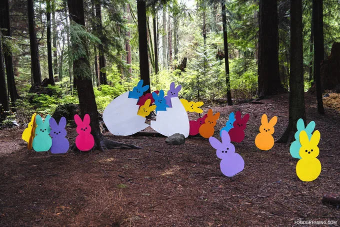 Stanley Park Railway Easter Train 2019 | Easter Long Weekend Vancouver Downtown | Stanley Park Easter Train 2019
