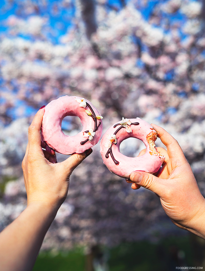 Vegan Cherry Blossom Donut by Cartems Donuts