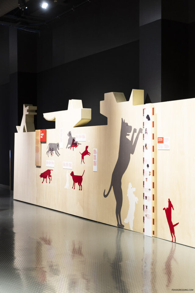 Science World Exhibit: Cats & Dogs | Sept 22, 2019 - Jan 5, 2020