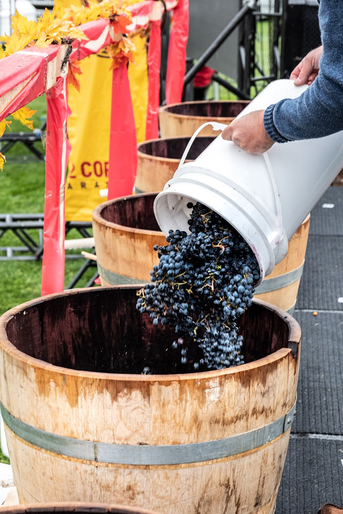 Festival of the Grape and Oliver Cask & Keg 2019 in Oliver, BC