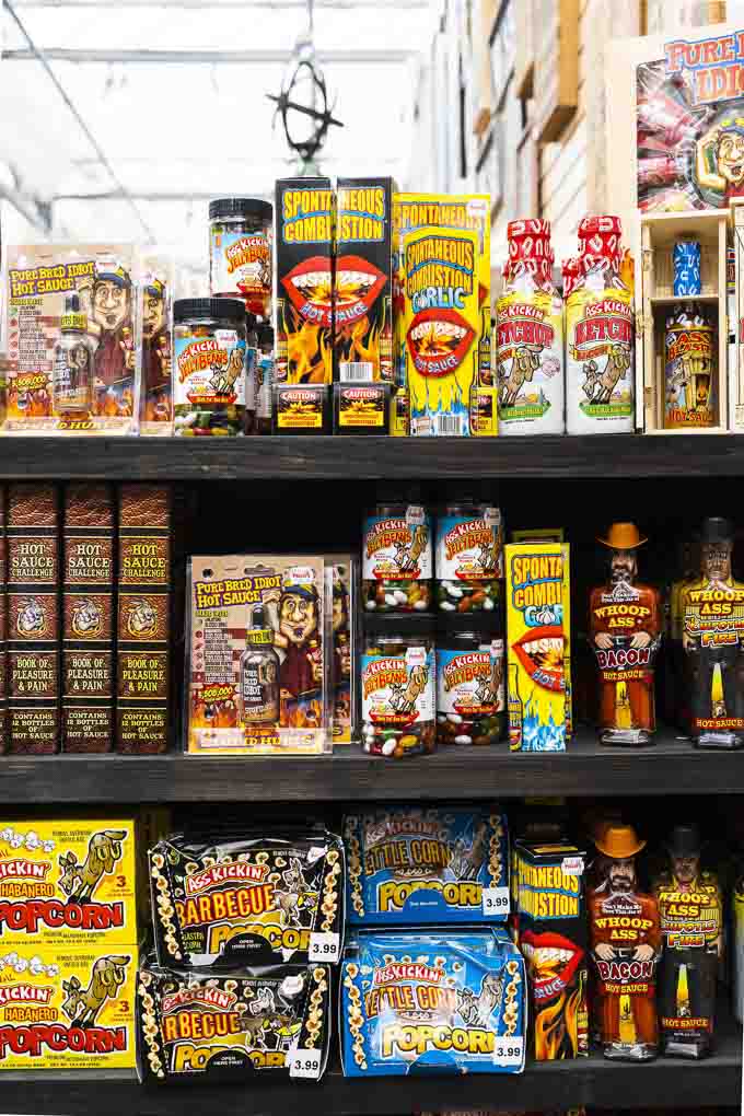 Potters Nursery Christmas Store in Surrey What to Expect for 2019