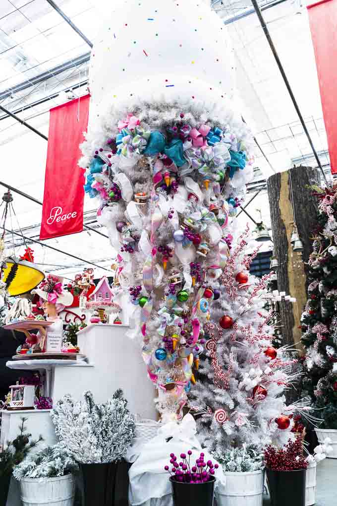 Potters Nursery Christmas Store in Surrey What to Expect for 2019