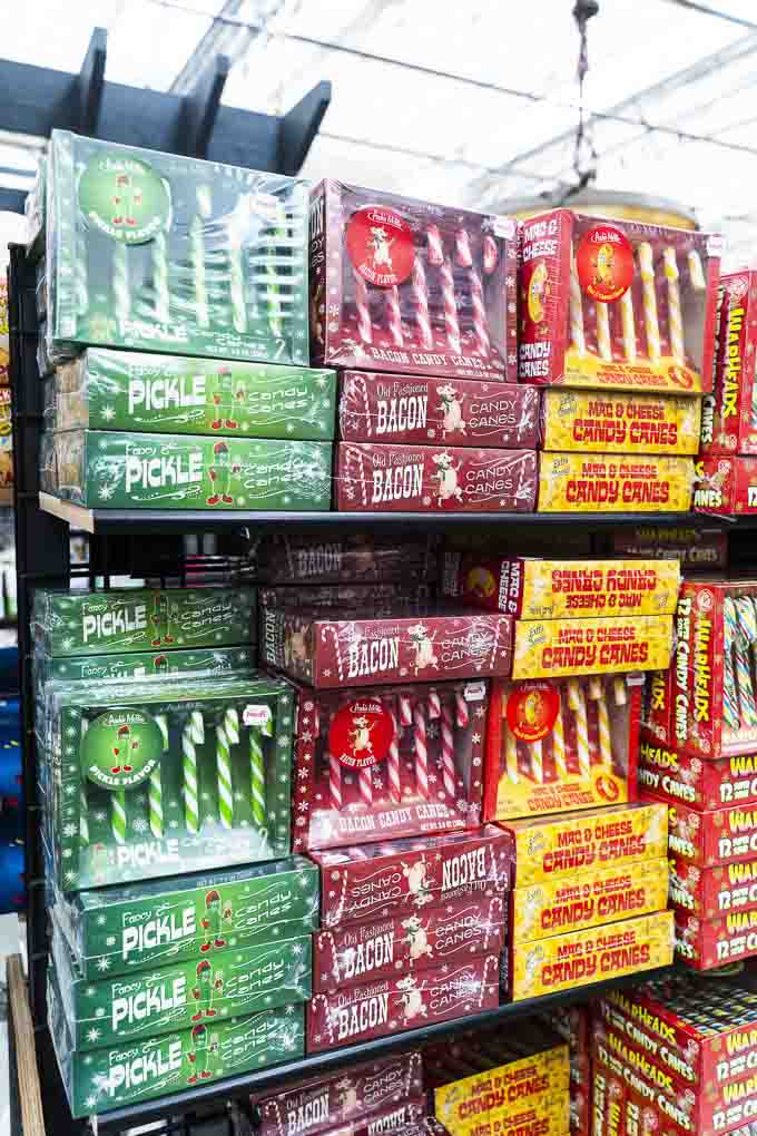 Potters Nursery Christmas Store in Surrey What to Expect for 2019